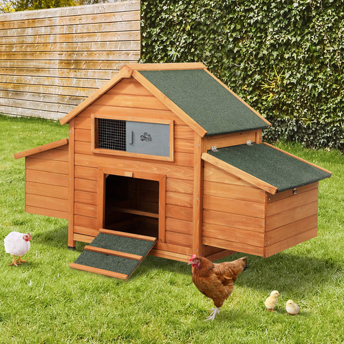 LivingFusion Elachi Chicken Coop & Rabbit Hutch | Temple & Webster