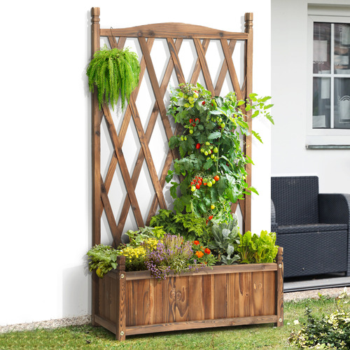 Monty Garden Bed with Trellis