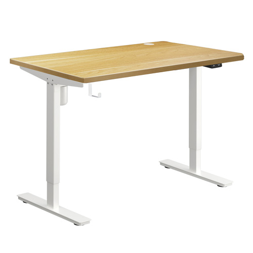 Hodgkin-120cm-Single-Motor-Sit-and-Stand-Desk