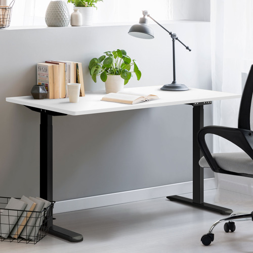 Alwyn III 120cm Dual Motor Electric Sit & Stand Desk
