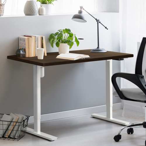 Hodgkin 150cm Single Motor Sit & Stand Desk