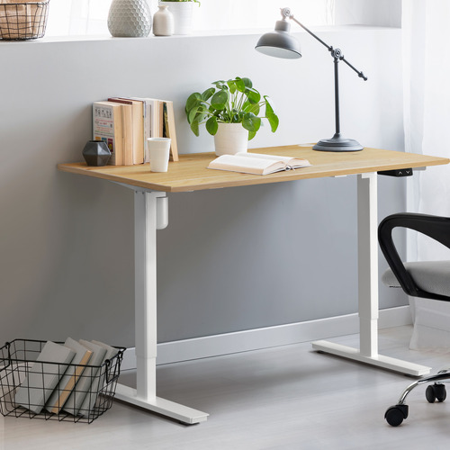 Hodgkin 120cm Single Motor Sit & Stand Desk