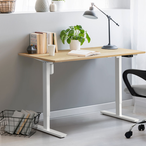 Hodgkin 140cm Single Motor Sit & Stand Desk