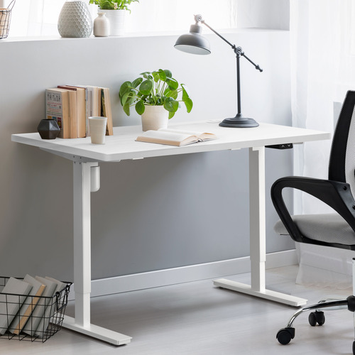 Hodgkin 140cm Single Motor Sit & Stand Desk
