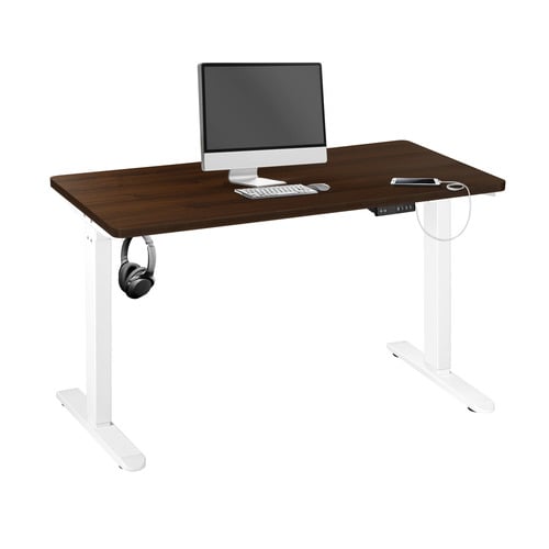 Octavia-160cm-Single-Motor-Electric-Sit-and-Stand-Desk