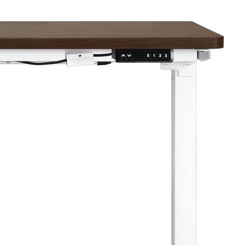 Octavia-160cm-Single-Motor-Electric-Sit-and-Stand-Desk