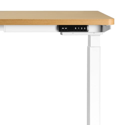 Octavia-160cm-Dual-Motor-Electric-Sit-and-Stand-Desk