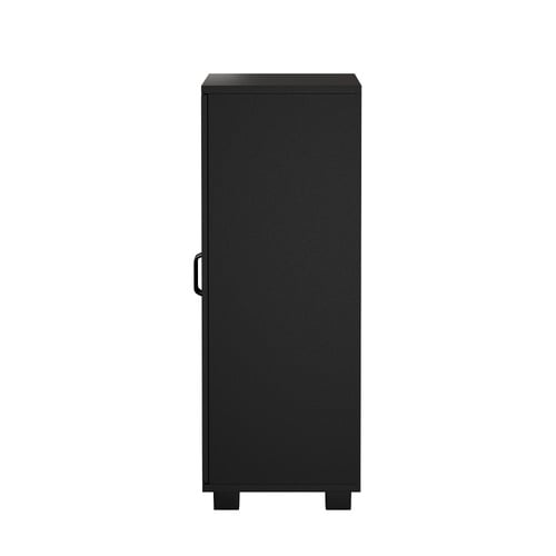 Colin 2 Door Storage Cabinet