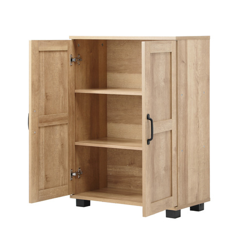 Colin 2 Door Storage Cabinet