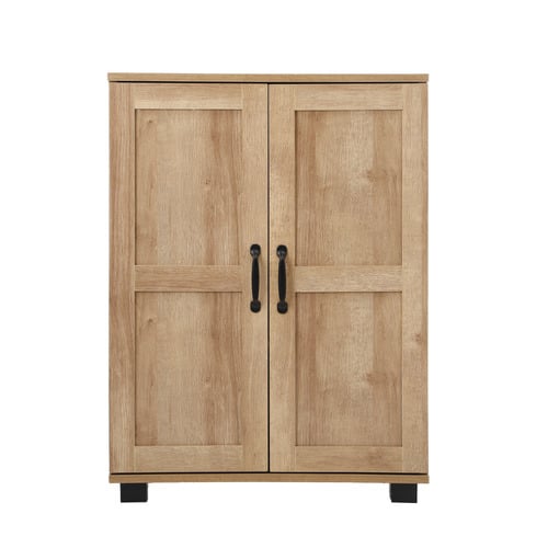 Colin 2 Door Storage Cabinet