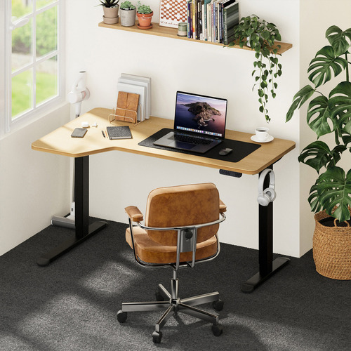 Fintorp-Single-Motor-Electric-Sit-and-Stand-Desk