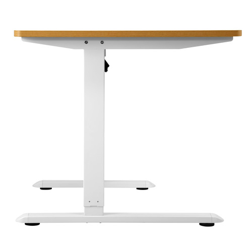Fintorp-Single-Motor-Electric-Sit-and-Stand-Desk