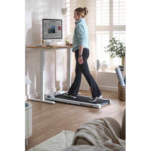 Sienna-Single-Motor-Electric-Sit-and-Stand-Desk