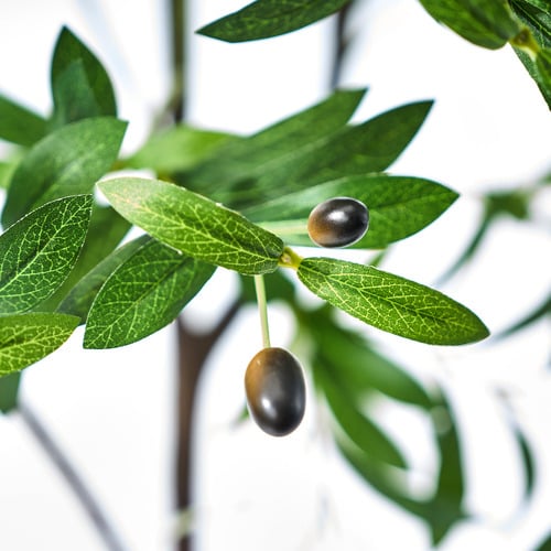 180cm Potted Faux Olive Tree