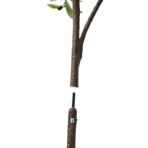 180cm Potted Faux Olive Tree