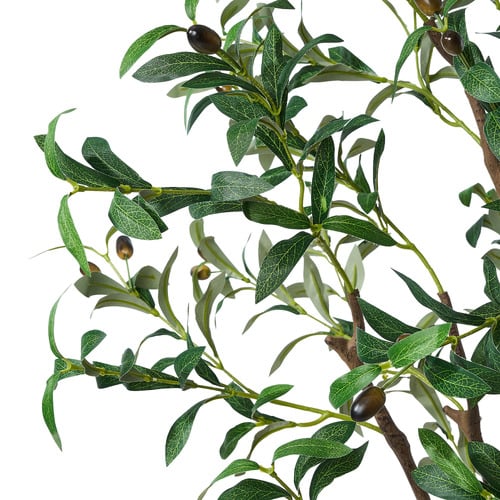 210cm Potted Faux Olive Tree