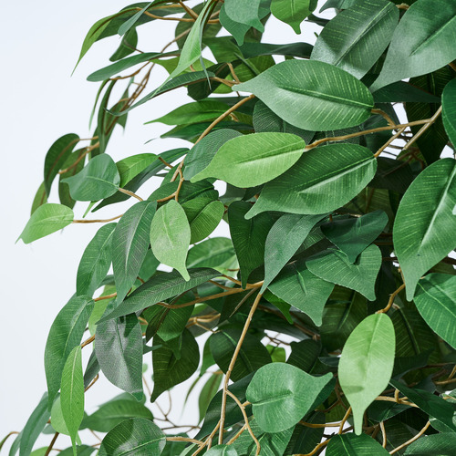 180cm Potted Faux Ficus Tree