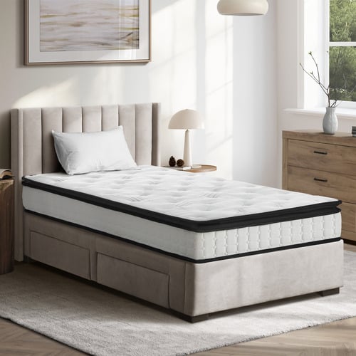 Emilya Bonnell Spring Mattress & Pillow Set