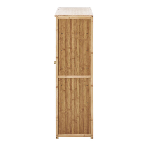 Vanya 2 Door Shoe Cabinet