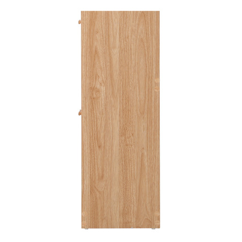 Holly 2 Door Rattan Shoe Cabinet