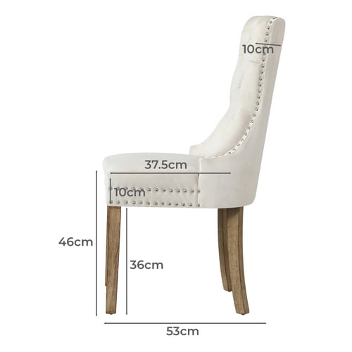 Aylin Velvet Dining Chairs