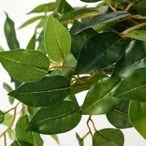 180cm Potted Faux Ficus Trees