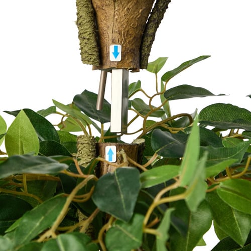 180cm Potted Faux Ficus Trees