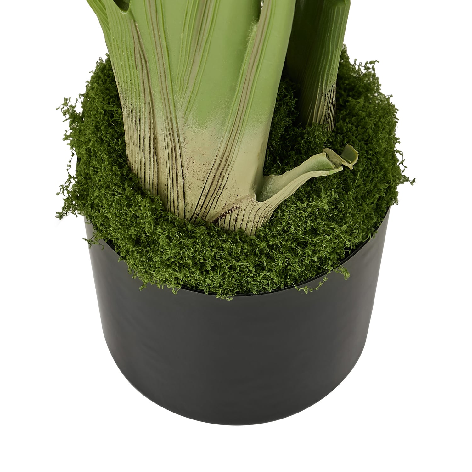 180cm Potted Faux Traveler Banana Trees
