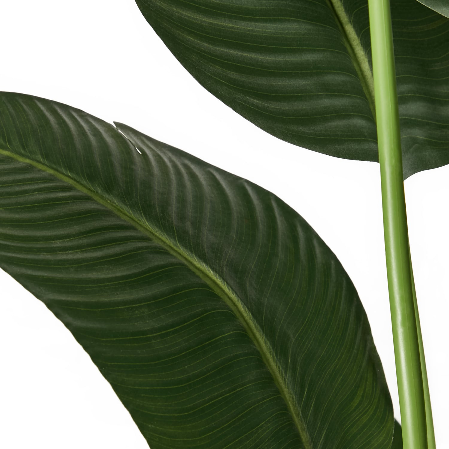 180cm Potted Faux Traveler Banana Trees