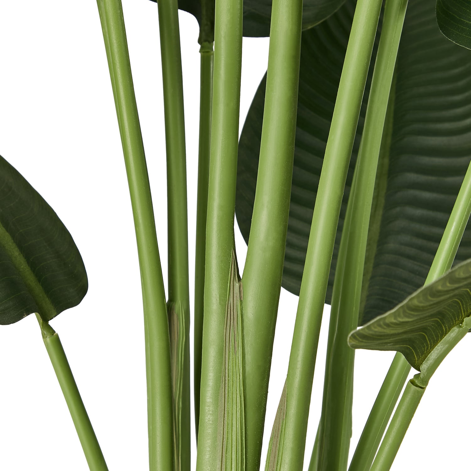 180cm Potted Faux Traveler Banana Trees