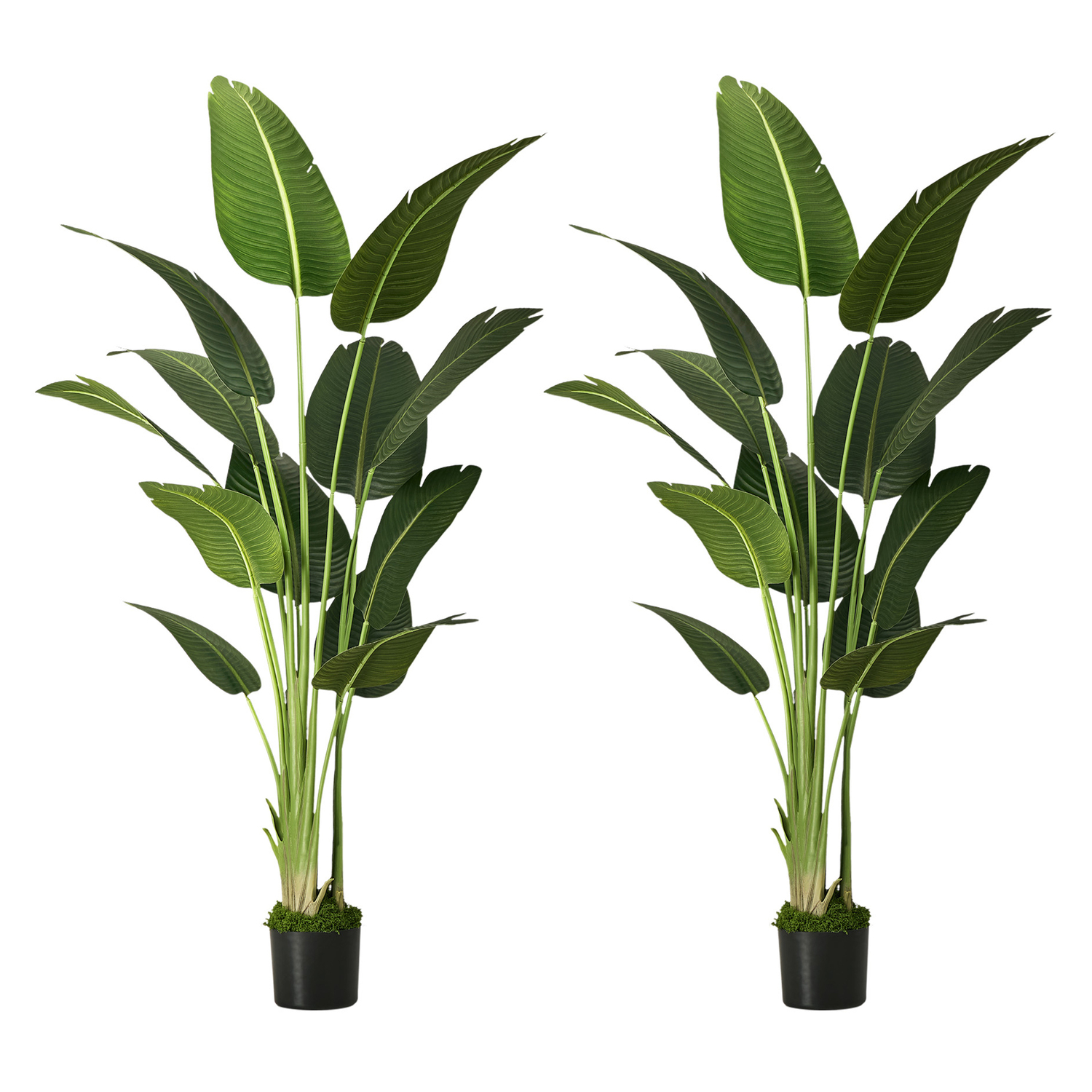 180cm Potted Faux Traveler Banana Trees