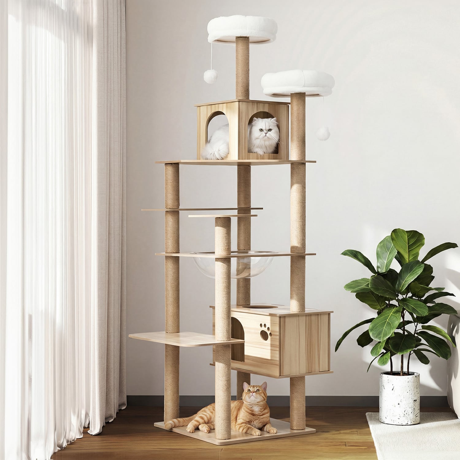 Calhoun Cat Scratching Tree