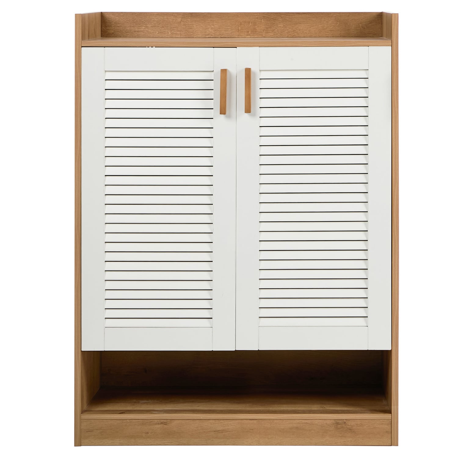 Tatum 2 Door Shoe Cabinet