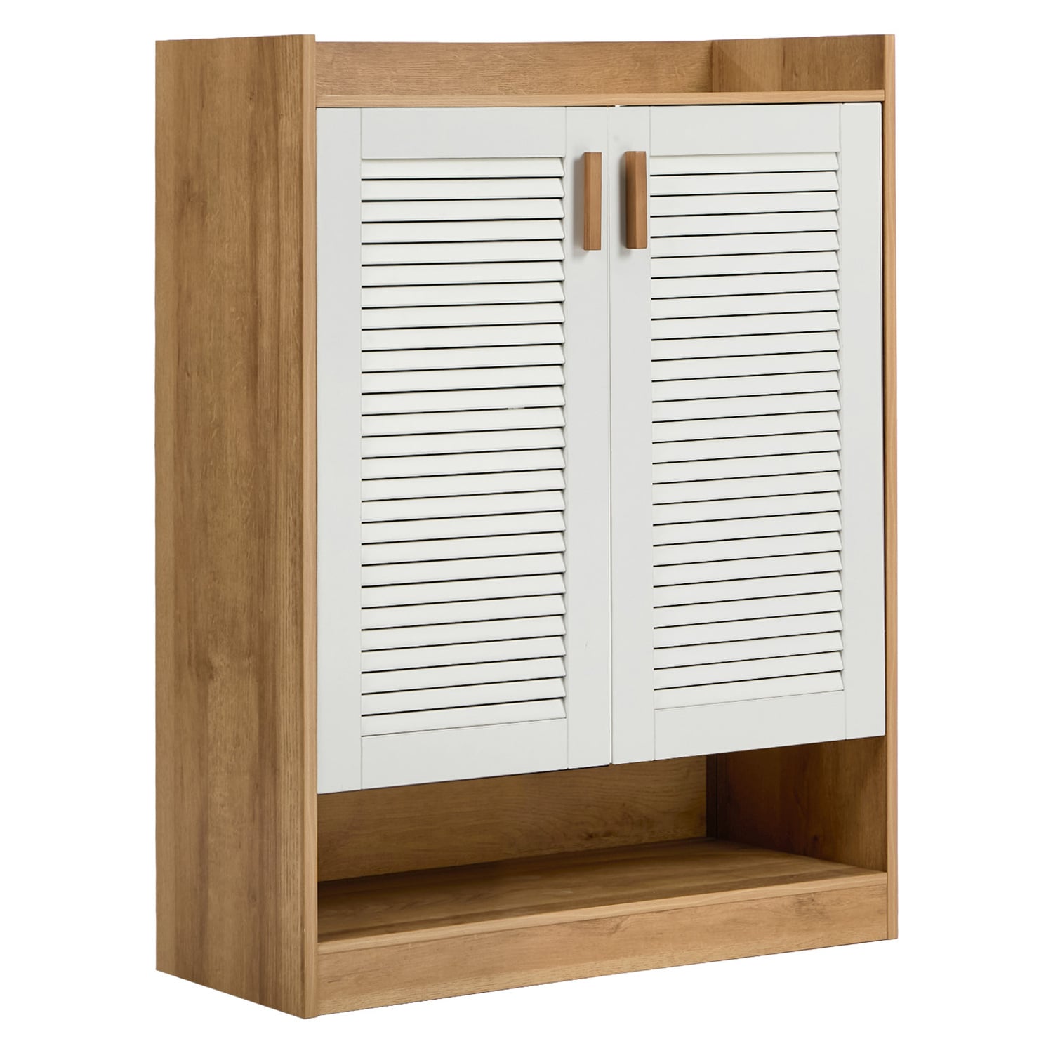 Tatum 2 Door Shoe Cabinet