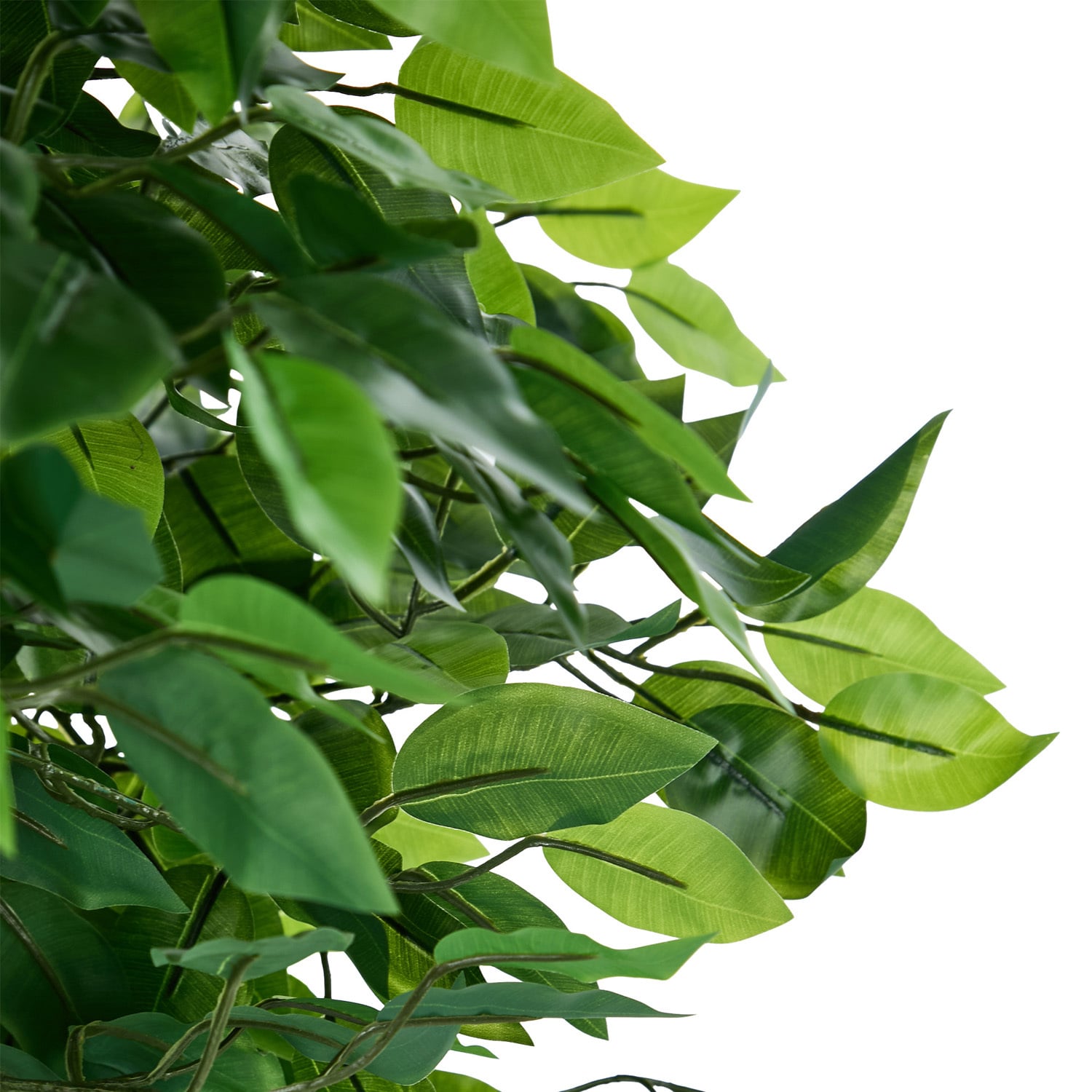 150cm Potted Faux Ficus Trees