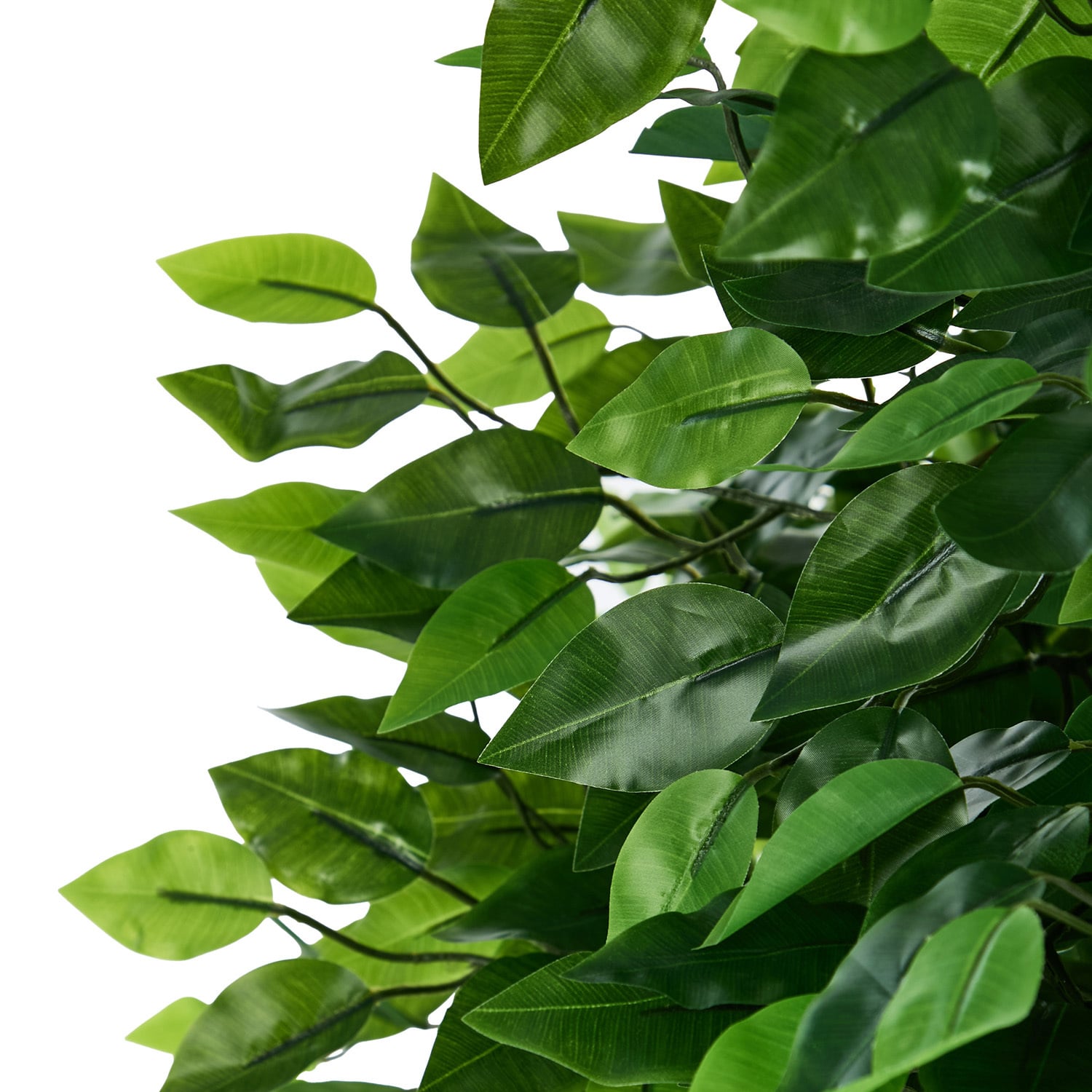 150cm Potted Faux Ficus Trees