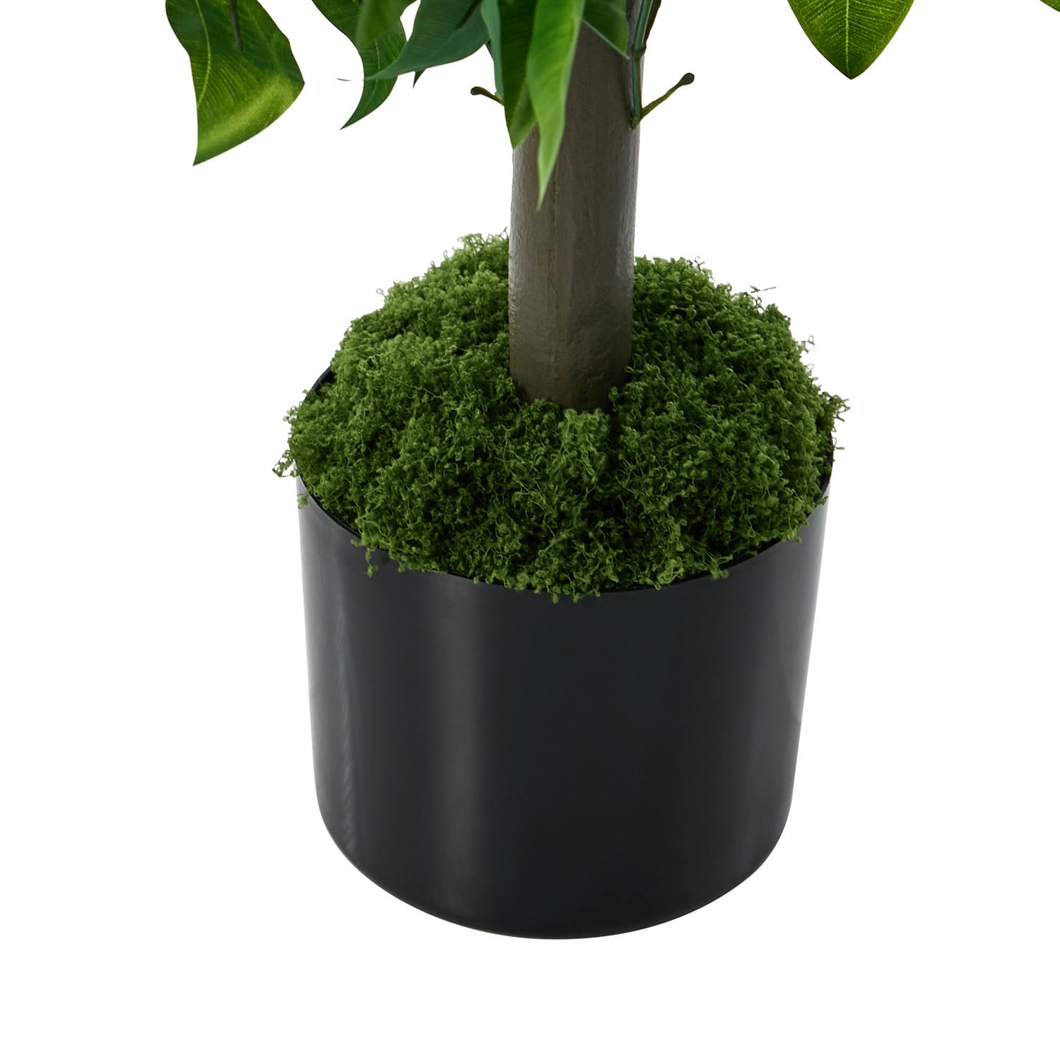 150cm Potted Faux Ficus Trees