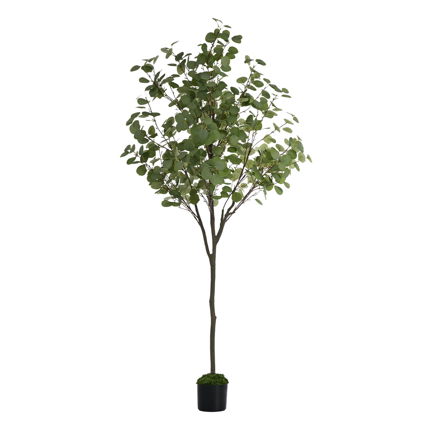 150cm Potted Faux Eucalyptus Trees