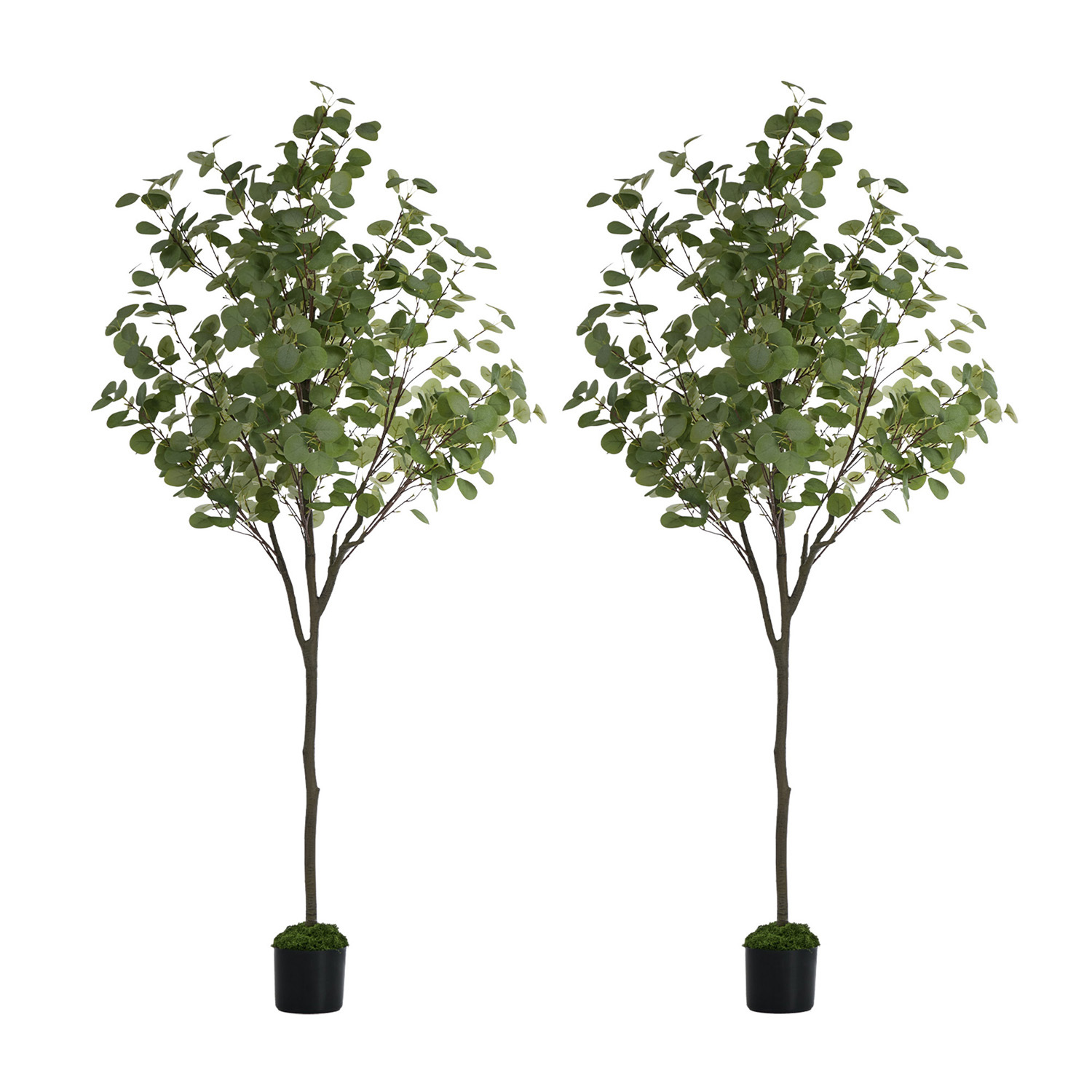 180cm Potted Faux Eucalyptus Trees