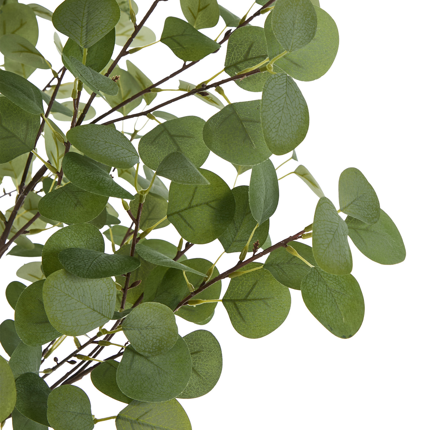 180cm Potted Faux Eucalyptus Trees