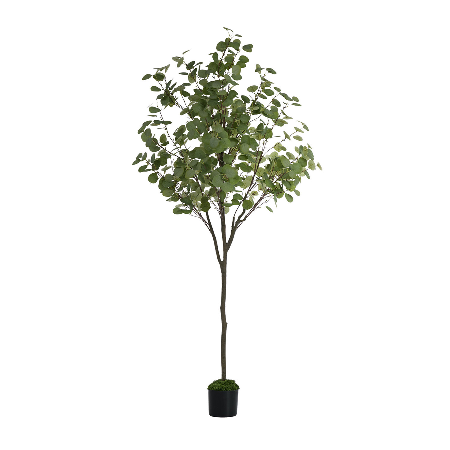 180cm Potted Faux Eucalyptus Trees