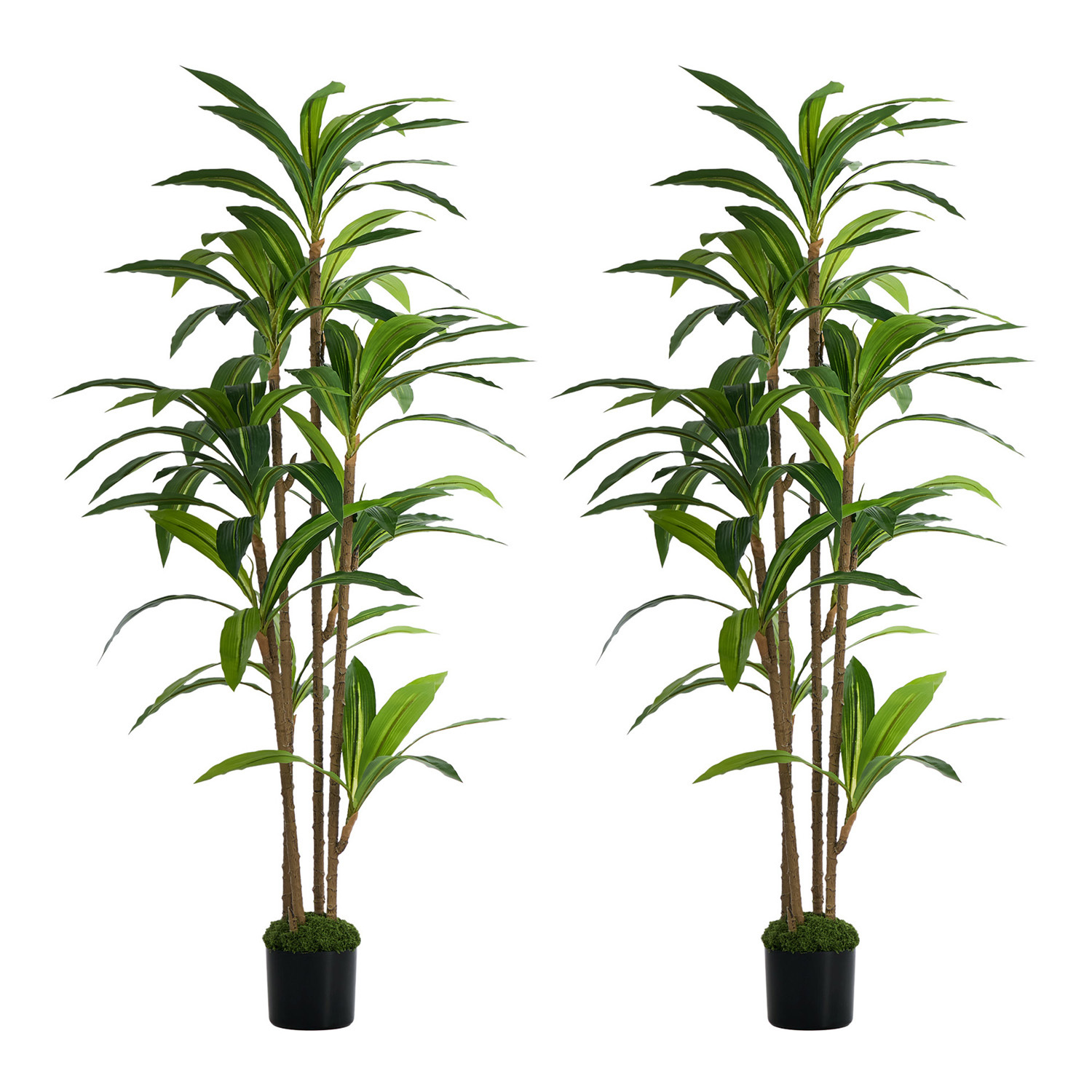 150cm Potted Faux Dracaena Plants