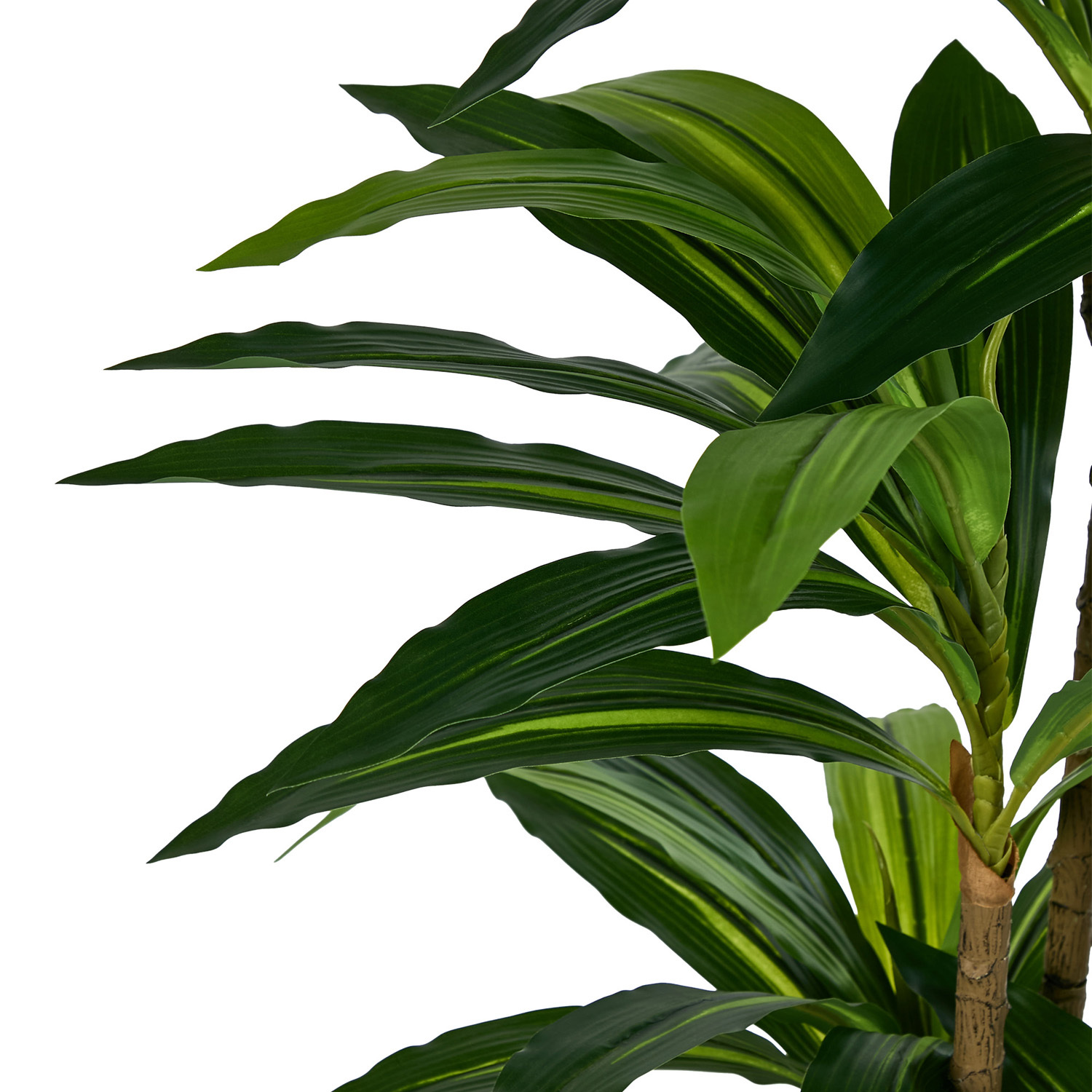 150cm Potted Faux Dracaena Plants