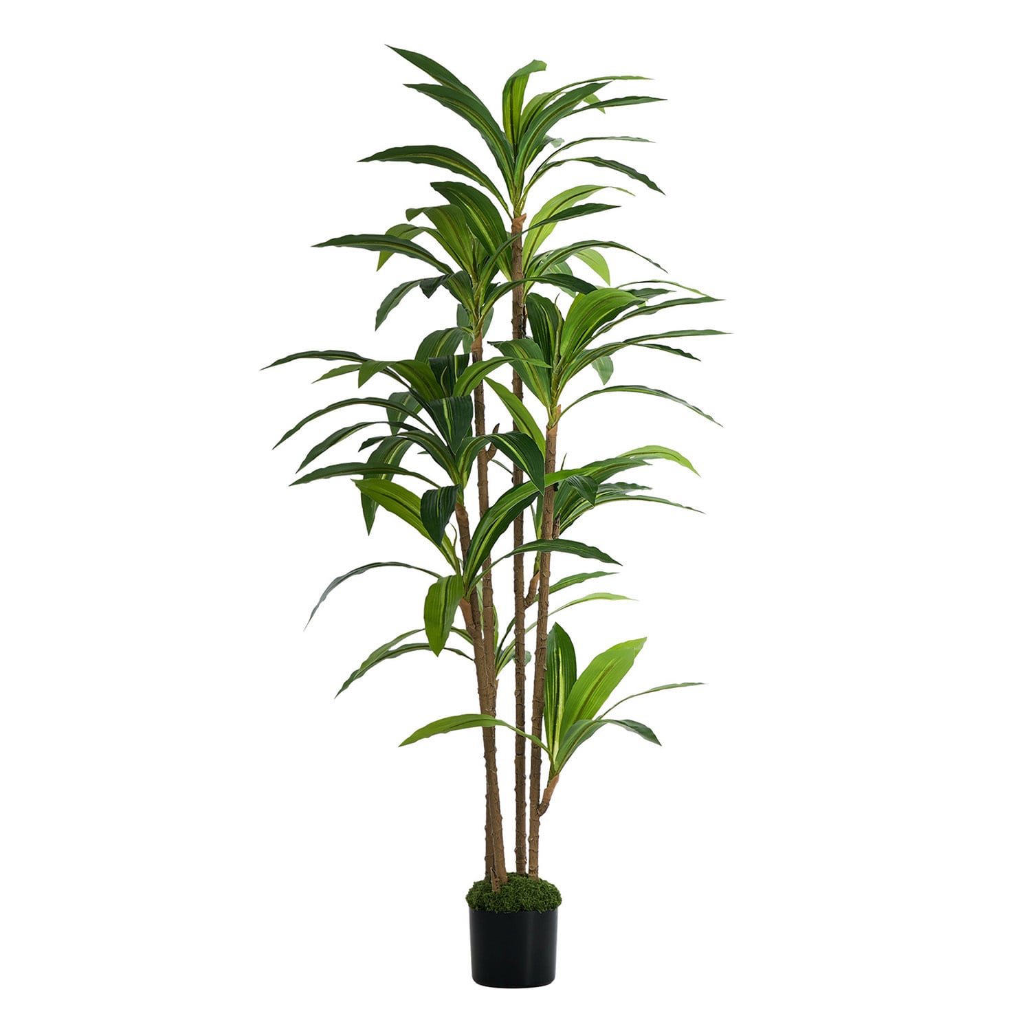 150cm Potted Faux Dracaena Plants