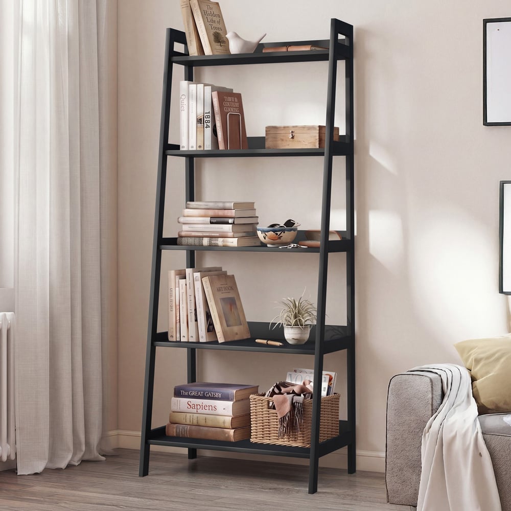 Ayden 5 Tier Ladder Shelf