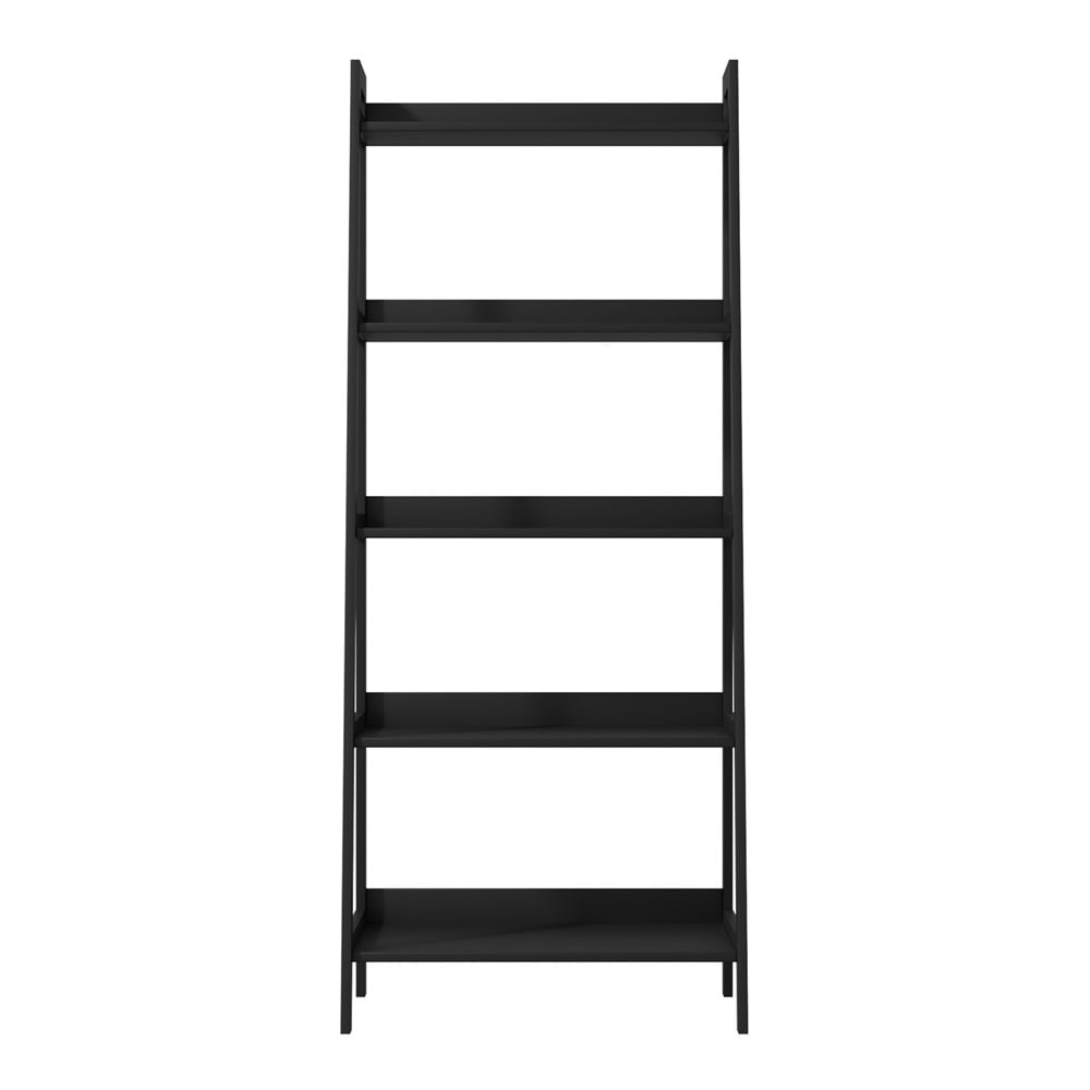 Ayden 5 Tier Ladder Shelf