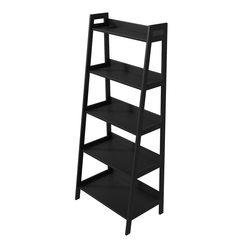 Ayden 5 Tier Ladder Shelf