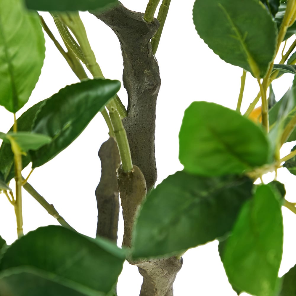 180cm Potted Faux Ficus Trees