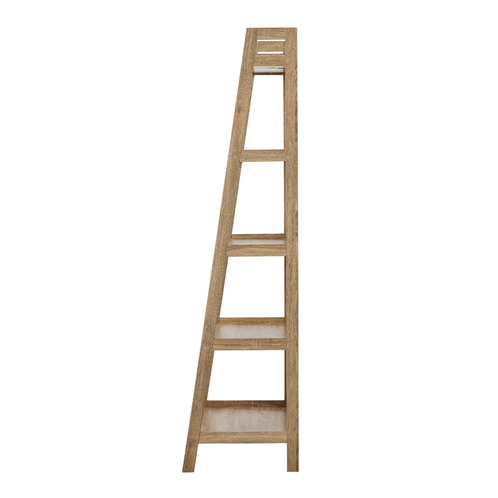 Ayden 5 Tier Ladder Shelf