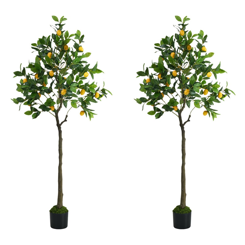 150cm Potted Faux Lemon Trees